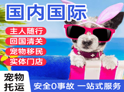 玉林福绵国际宠物托运 【国
